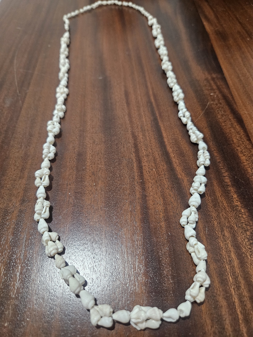 Natural Shell Necklace - 17"